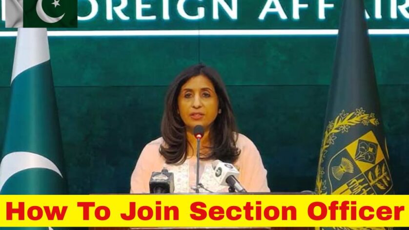 How to Join Foreign Services of Pakistan